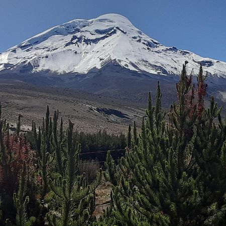 Hospedaje Chimborazo 外观 照片